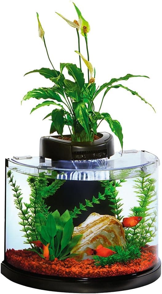 Elive AquaDuo 3 Gallon Betta Aquarium Fish Tank Kit with LED and Power Filter