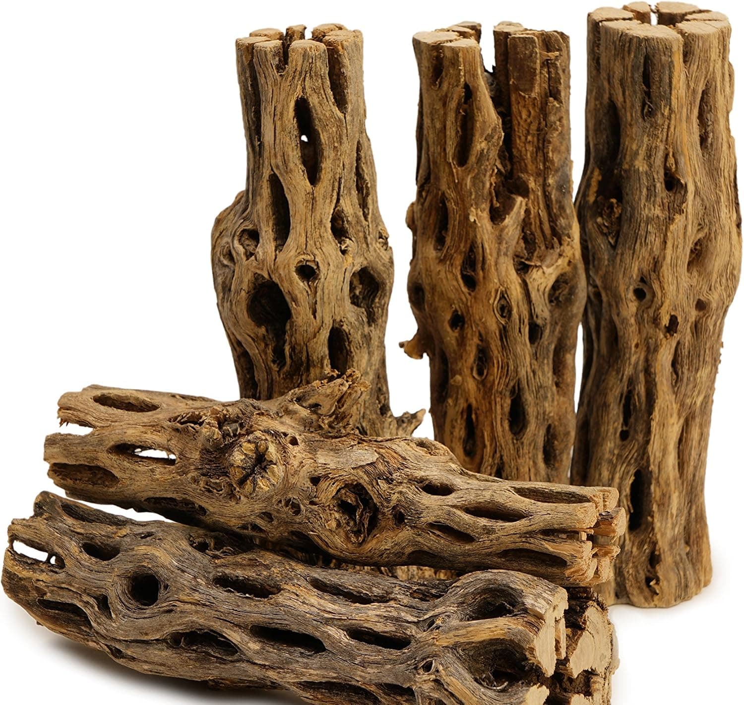 NApremium Natural Cholla Wood, 5 Pieces of 5-6" Long for Aquarium
