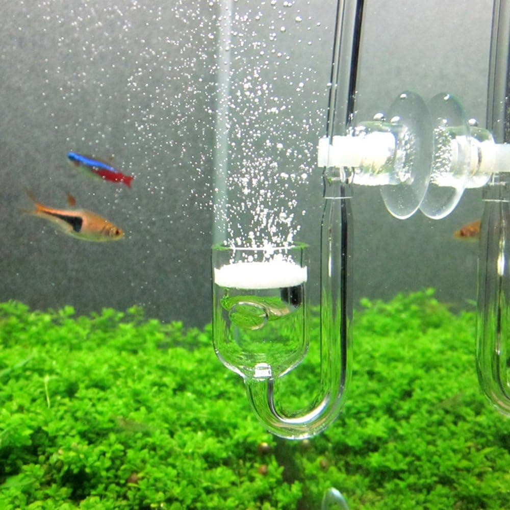 Yagote Nano CO2 Diffuser Glass Reactor for Aquarium Planted Tank