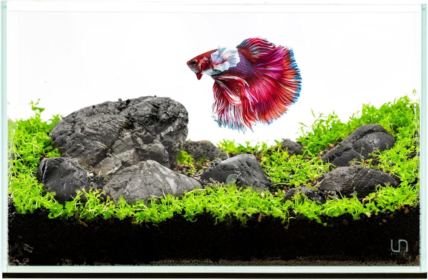 Ultum Nature Systems UNS 5N Ultra Clear Rimless Nano Aquarium 5 Gallon