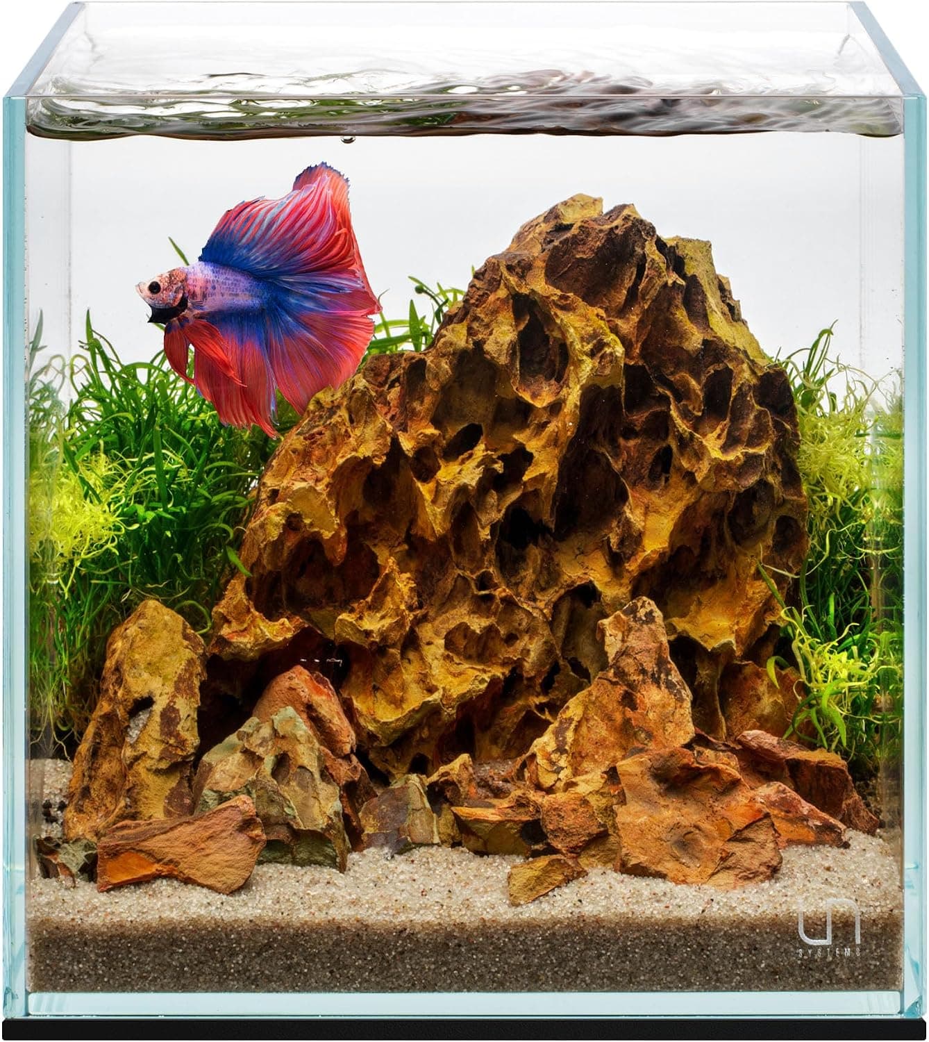UNS Ultra Clear Rimless Cube Tank 2.1 Gallon 20C Low Iron