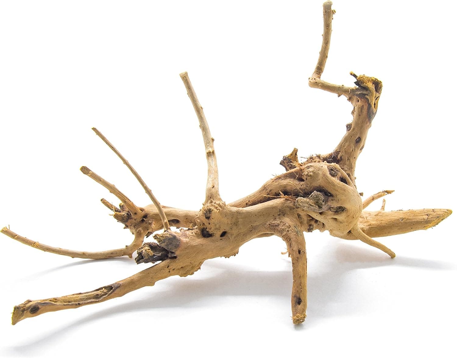 Aquatic Arts 1 Nano Piece of Spider Wood aka Azalea Natural Aquarium Driftwood 4-6"