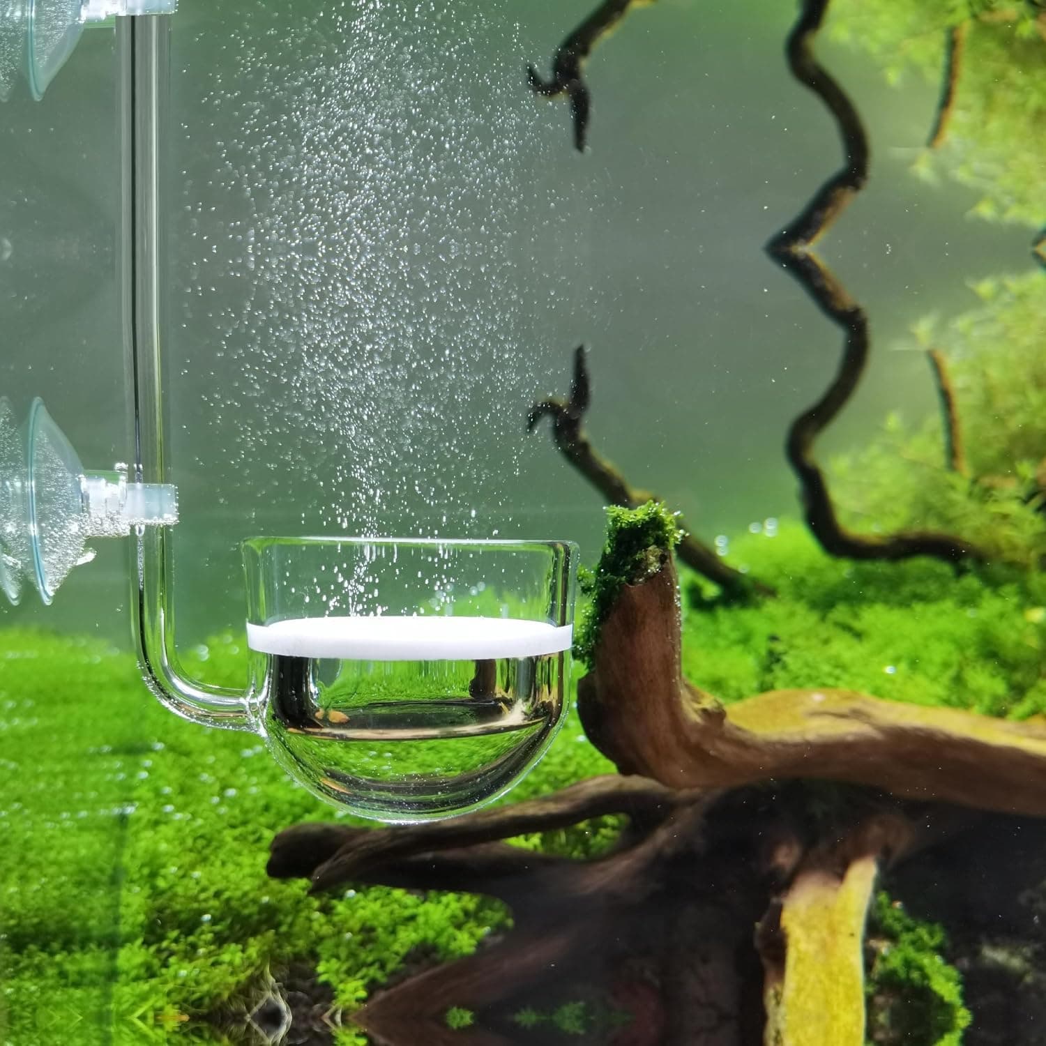 JARDLI Music Glass CO2 Diffuser for Aquarium Beyond 75 gallons 2 inch