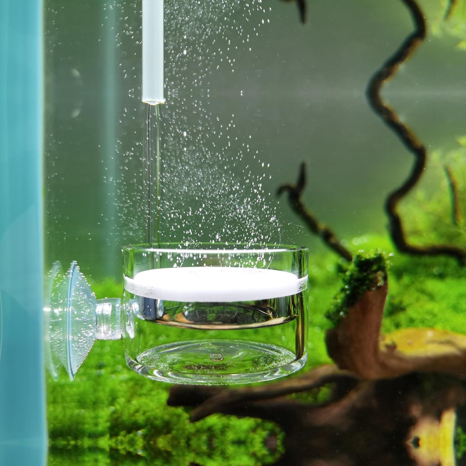 Best CO2 Diffusers for Planted Tanks (2026)