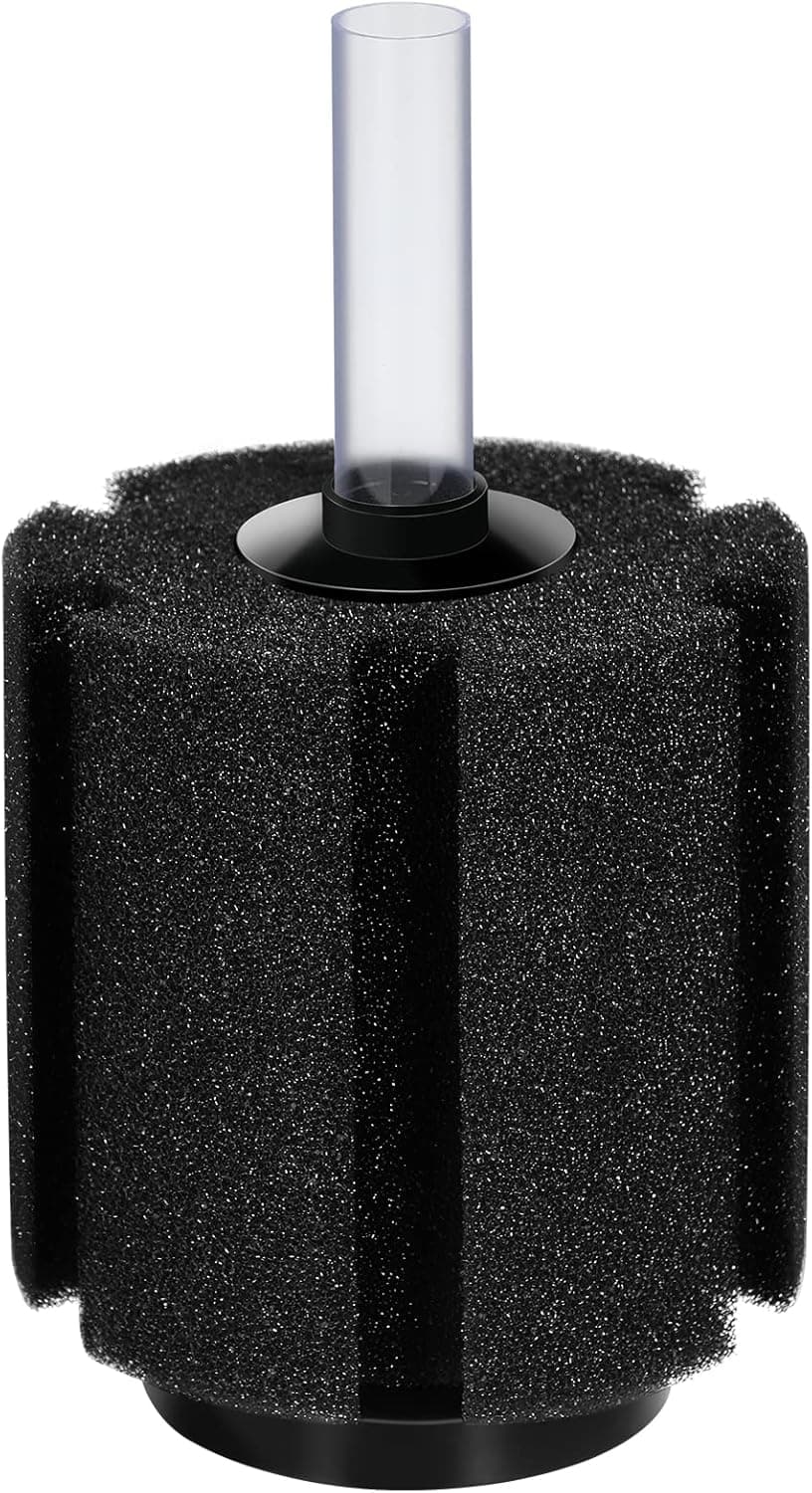 Best Sponge Filters for Planted Tanks (2026)