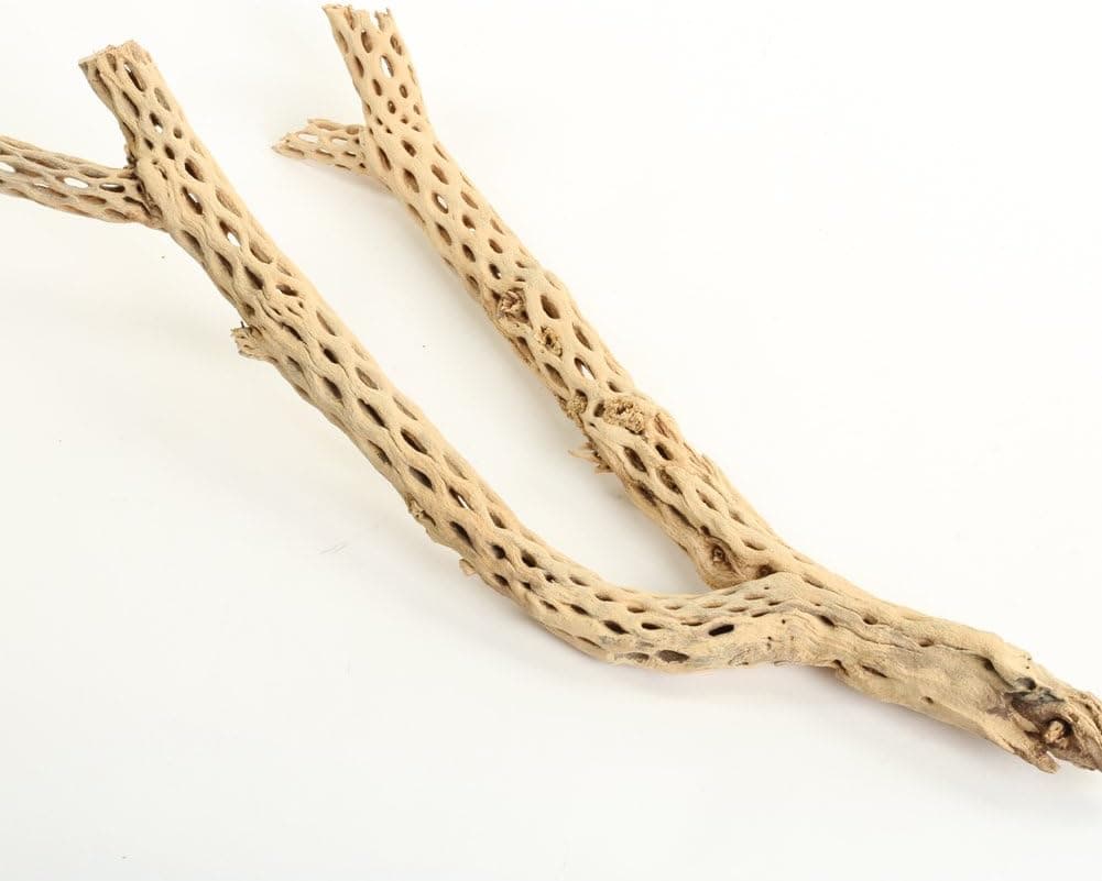 Koyal Wholesale 12" Natural Cholla Wood Branch for Aquarium, Shrimp or Betta