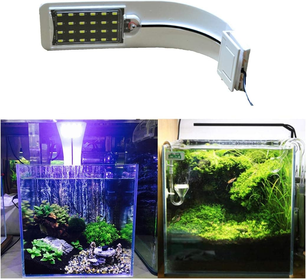 JackSuper 24 LED 10W Full Spectrum Plant Grow Clip Lamp White/Blue (White)