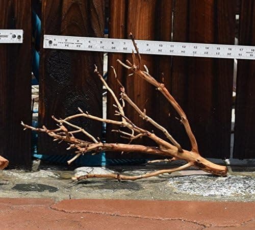 Manzanita Driftwood 12"-16"