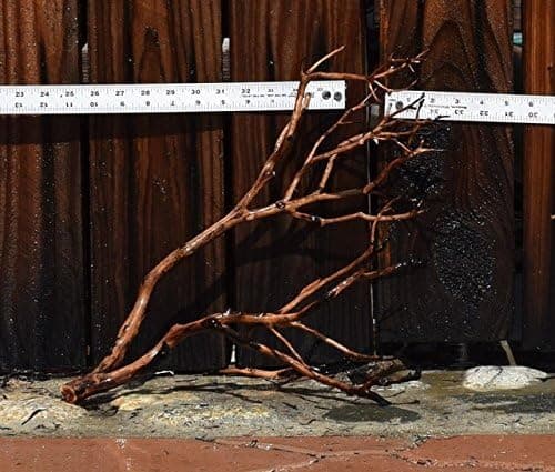 Best Manzanita Driftwood for Aquascaping (2026)