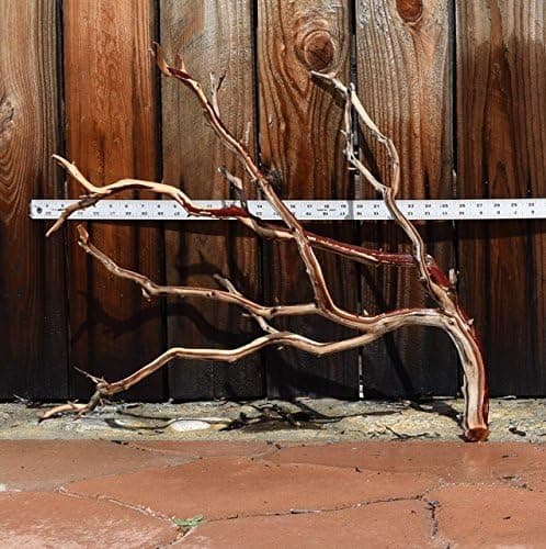 Manzanita Driftwood 20"-24"