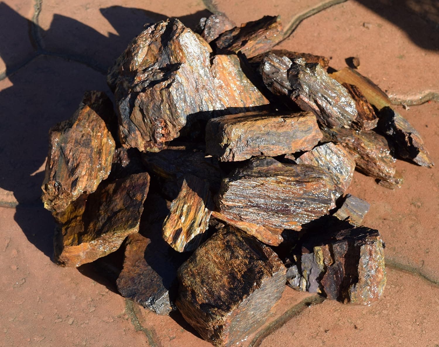 Manzanita Driftwood 20lb Petrified Wood for Aquariums