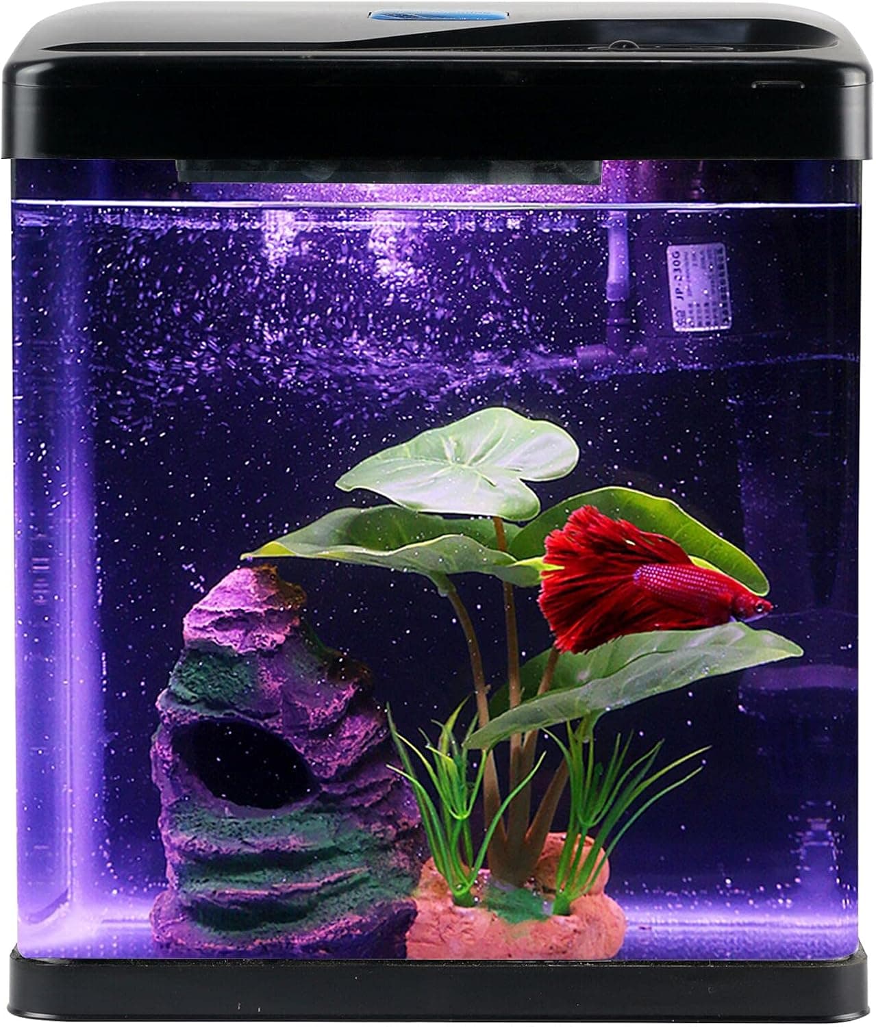 Best Betta Tanks for Planted Setups (2026)