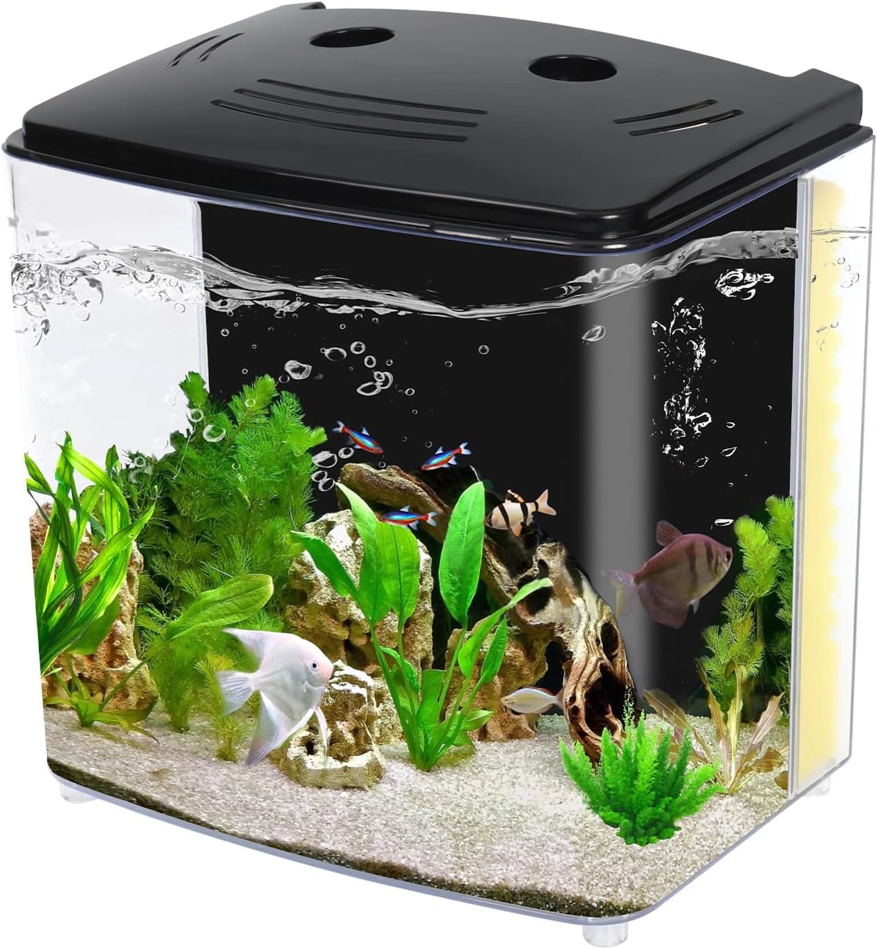 AQUANEAT 1.2 Gallon Aquarium Starter Kit with LED Light and Filter Pump