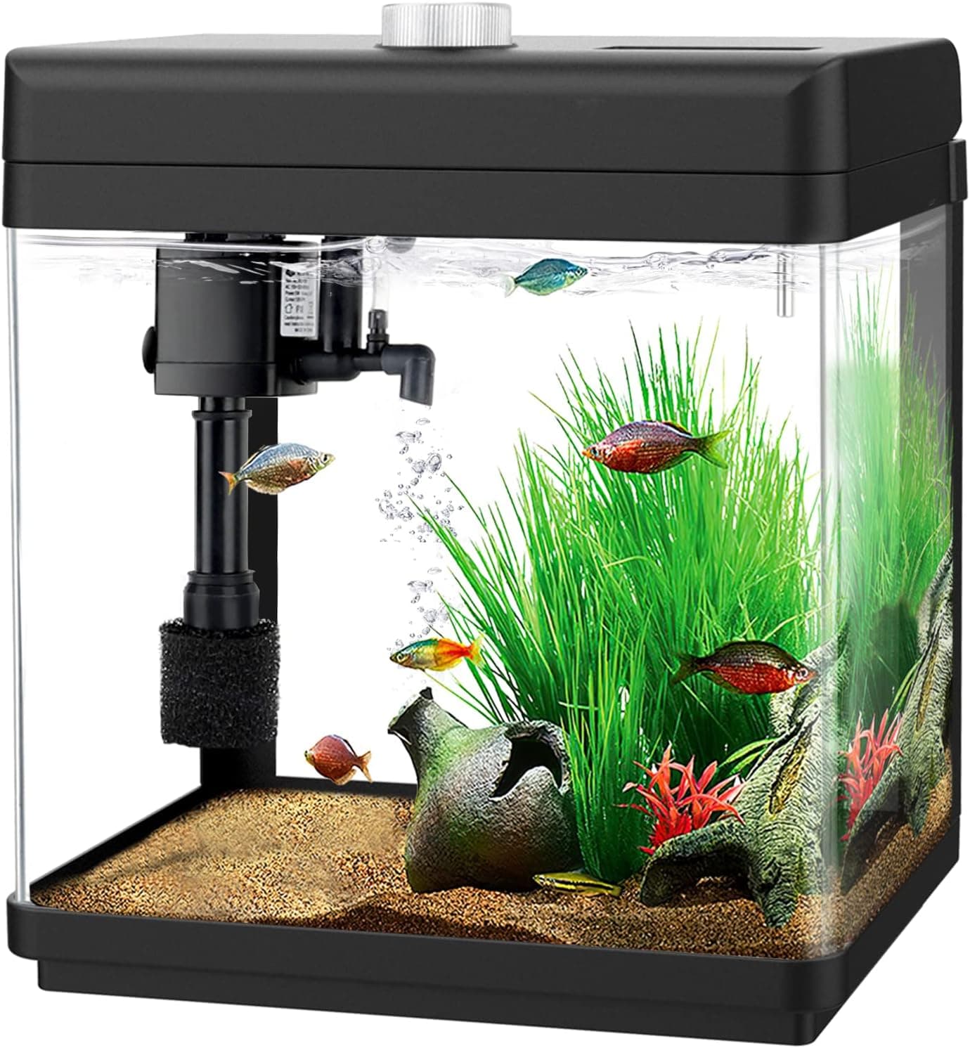 AQQA 1.5 Gallon Aquarium Kit Desktop with Filter and Light