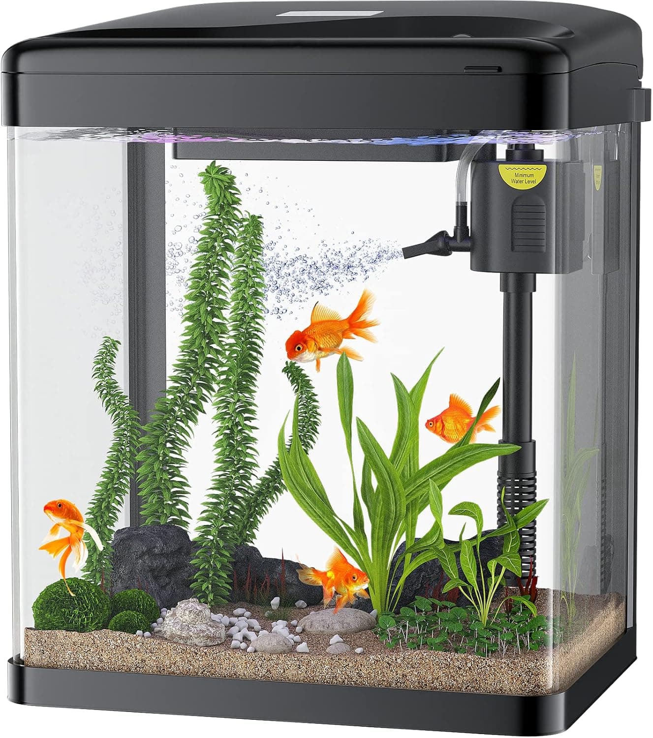 PONDON Betta Fish Tank 2 Gallon Glass Aquarium 3-in-1 with Filter and Light