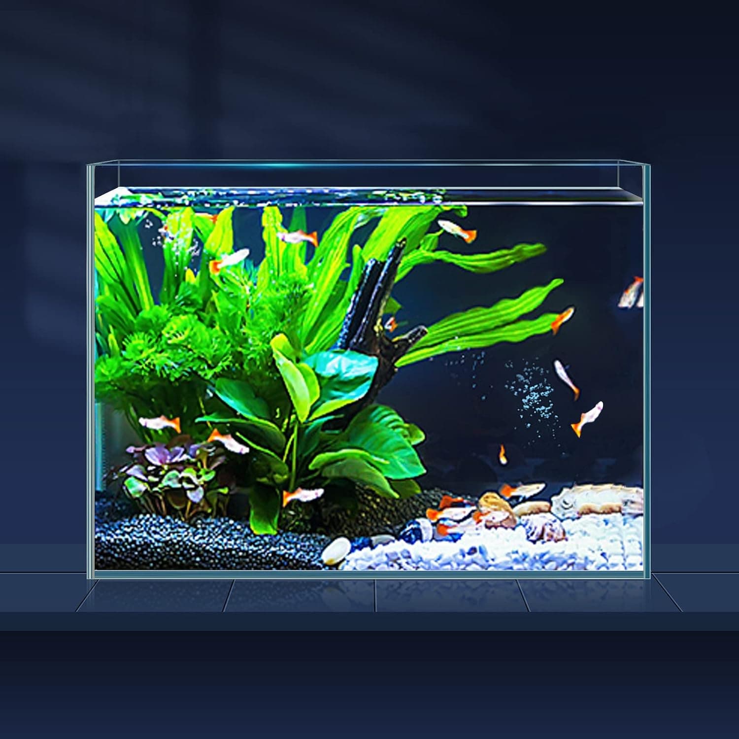 LAQUAL 3 Gallon Ultra Clear Rimless Low Iron Nano Fish Tank
