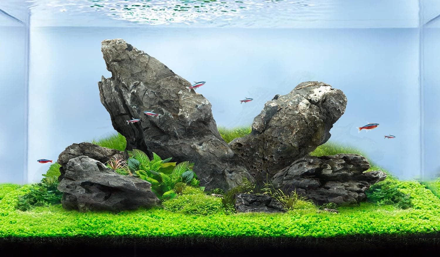 LANDEN Seiryu Stones Natural Rocks (17lbs, 3~11 inches, 7-8pcs)