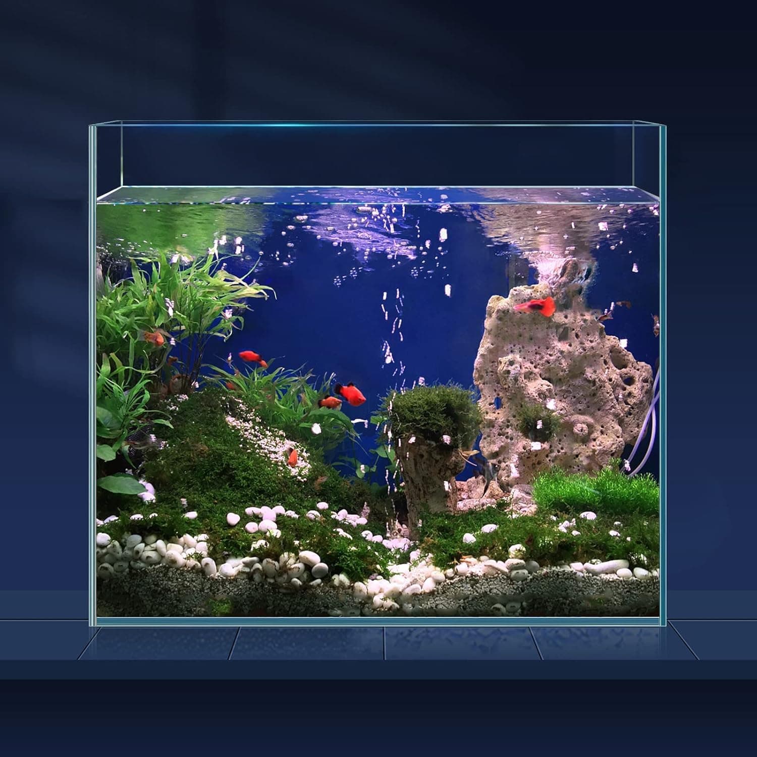 LAQUAL 6.5 Gallon Ultra Clear Rimless Low Iron Aquarium