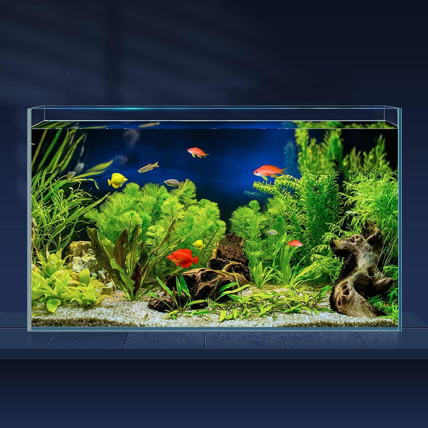 LAQUAL 10 Gallon Ultra Clear Rimless Low Iron Aquarium