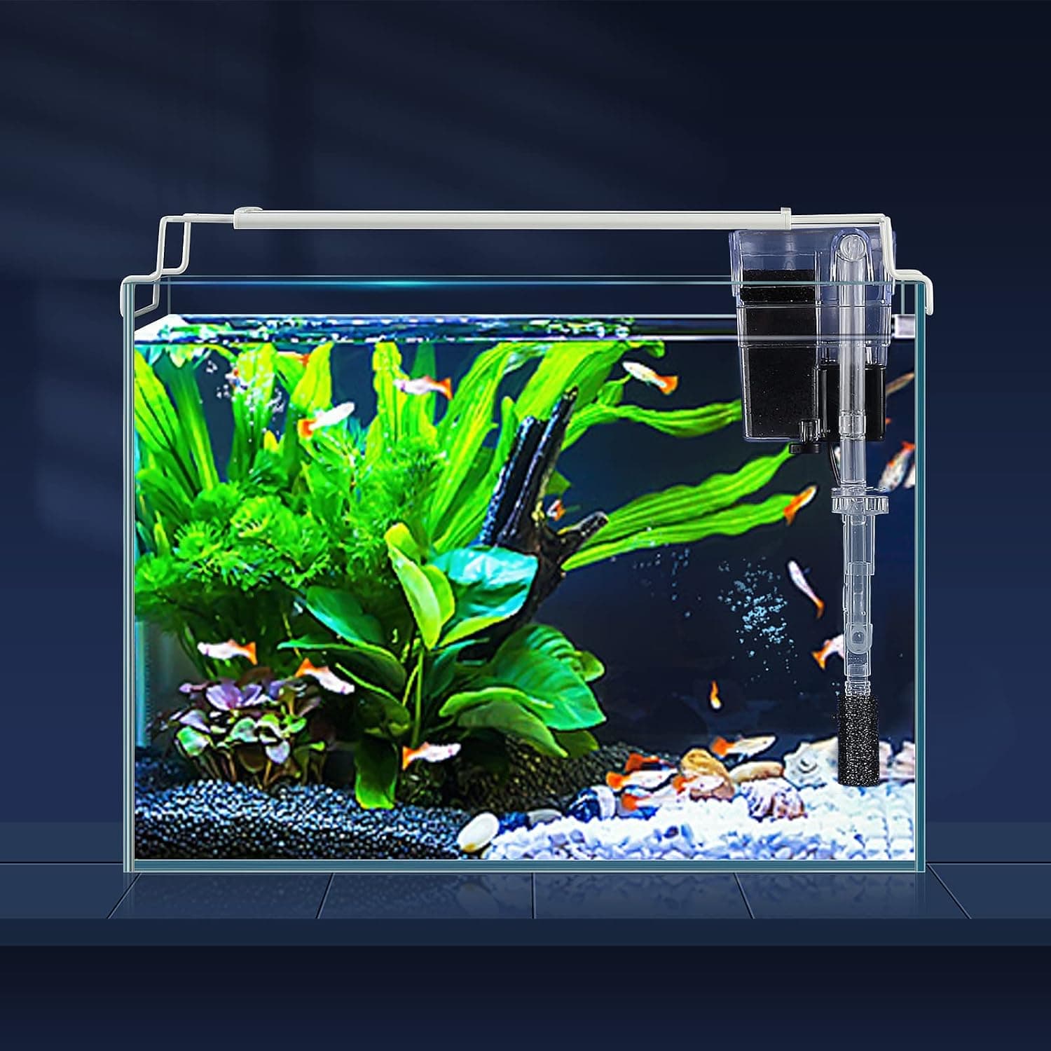 Best Aquarium Kits for Planted Tanks (2026)