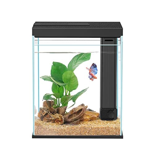 Betta Fish Tank, 2 Gallon Glass Aquarium Starter Kit, Small Fish Tank with Filter and Light.