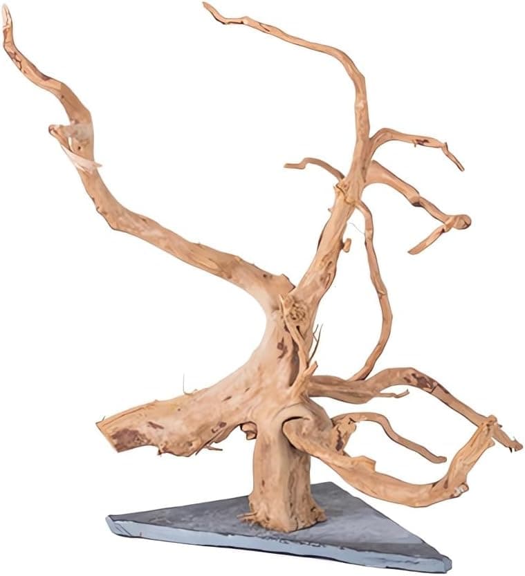 Best Spider Wood for Aquascaping (2026)