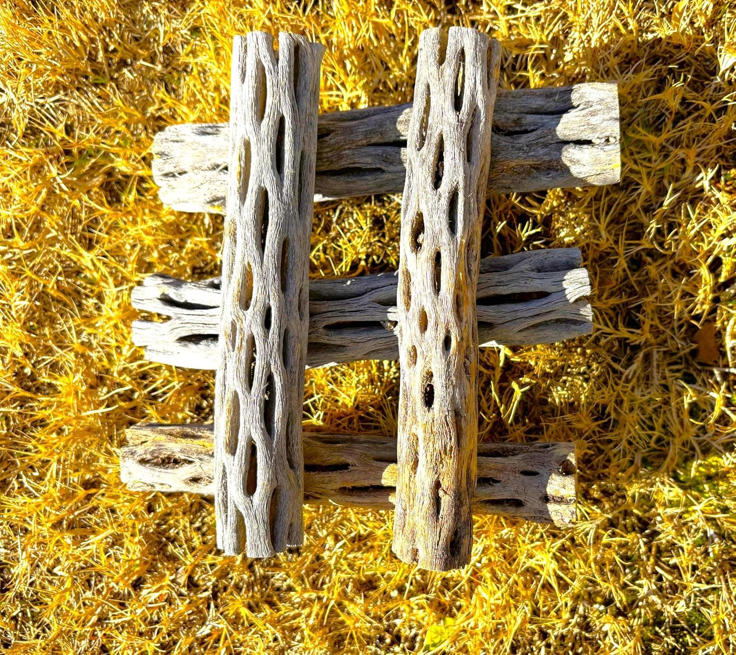 Natural Cholla Wood, Choya Air Plant, Untreated Driftwood, 6'' Long, 5 Pieces