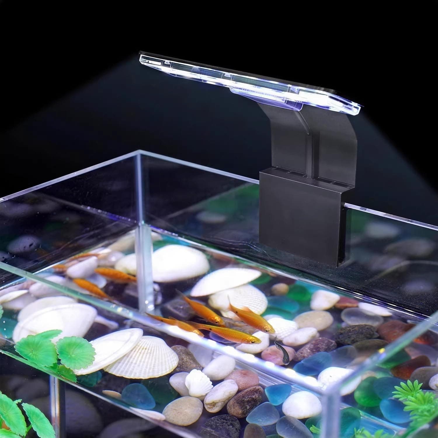 FRIRODSAY Mini Clip On Fish Tank Light 7W for 1-5 Gallon Nano Tanks, White Red Blue Green LED