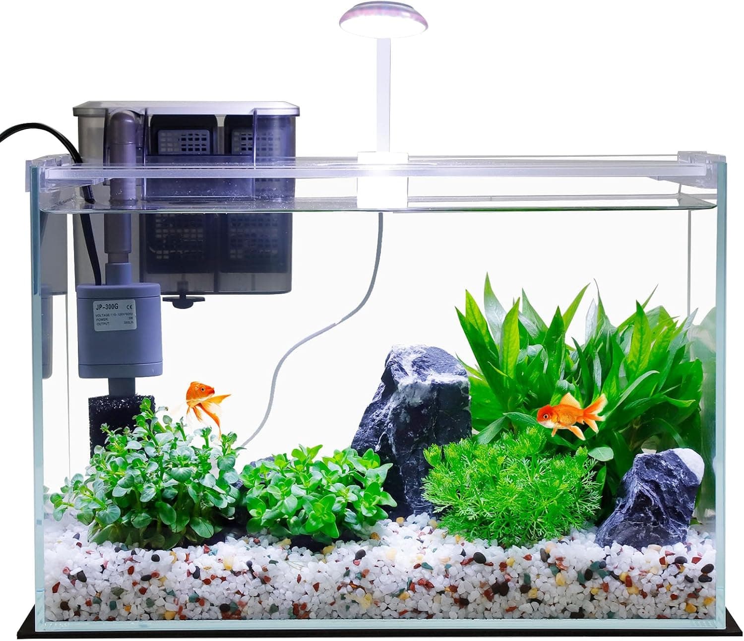 Vimvins 5 Gallon Glass Fish Tank with Filter Light and Lid Starter Kit