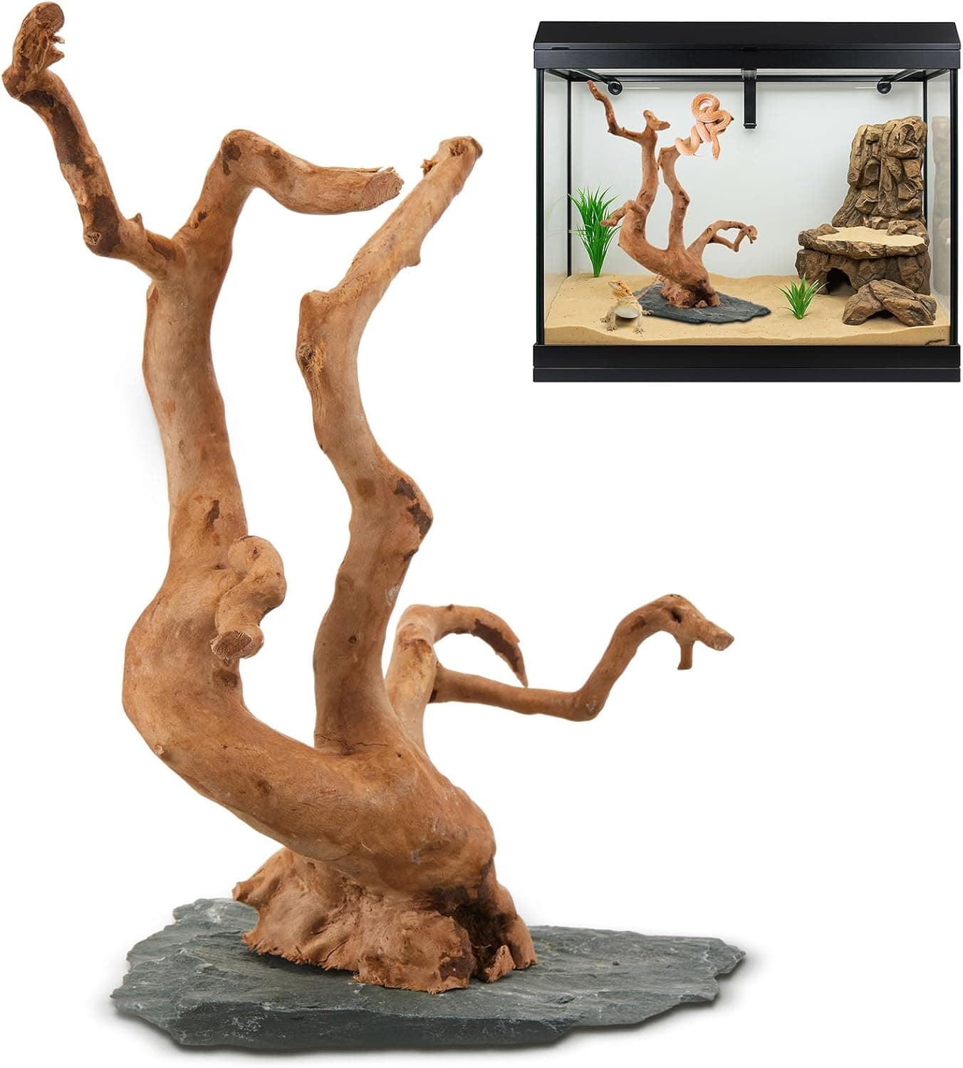 Large Driftwood for Aquarium, 8.5-11.5 Inch Spider Wood on Slate Stone