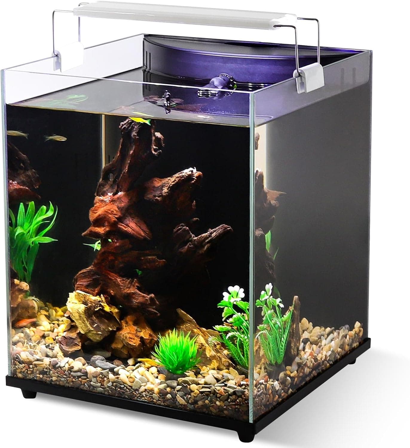 fishkeeper 5 Gallon Fish Tank Starter Kit with Filter and 3 Color Lighting