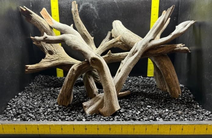 Bulk Natural Ghostwood Branches - Unsandblasted Manzanita Driftwood (2 pc. 11-15")