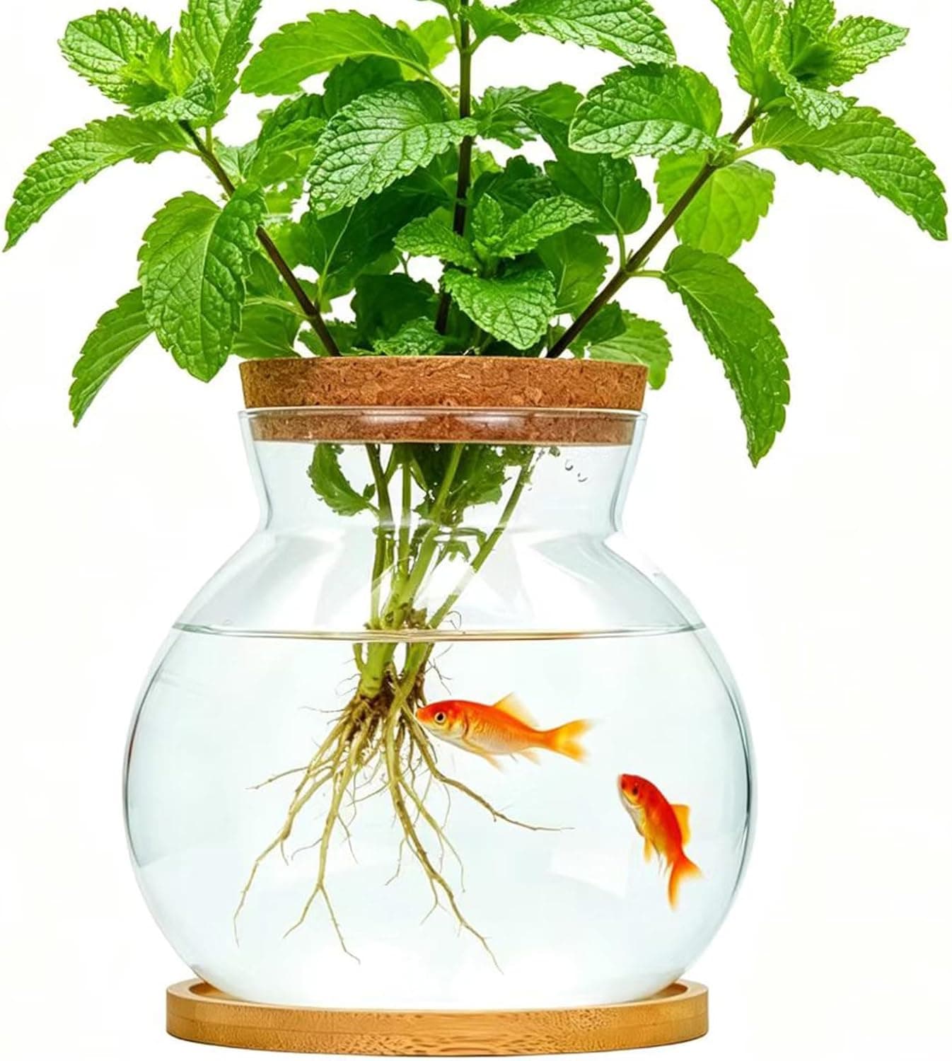 0.5 Gallon Betta Fish Tank Desktop Aquarium Kit Glass Bowl with Lid and Stand