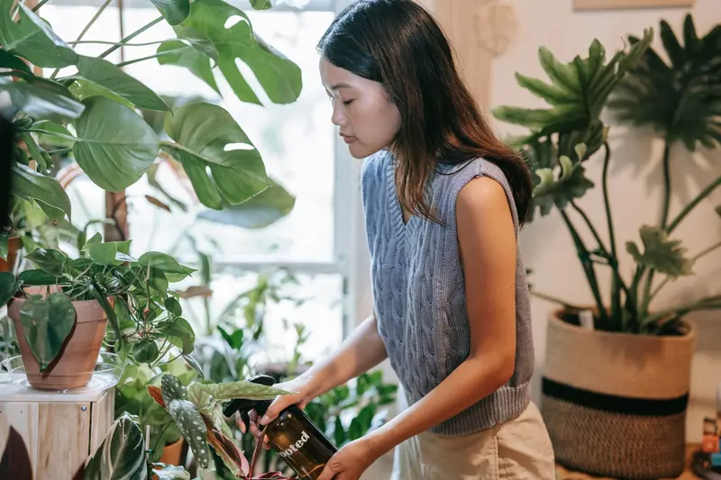 Young woman tending to lush indoor plants with a spray bottle, promoting green living
