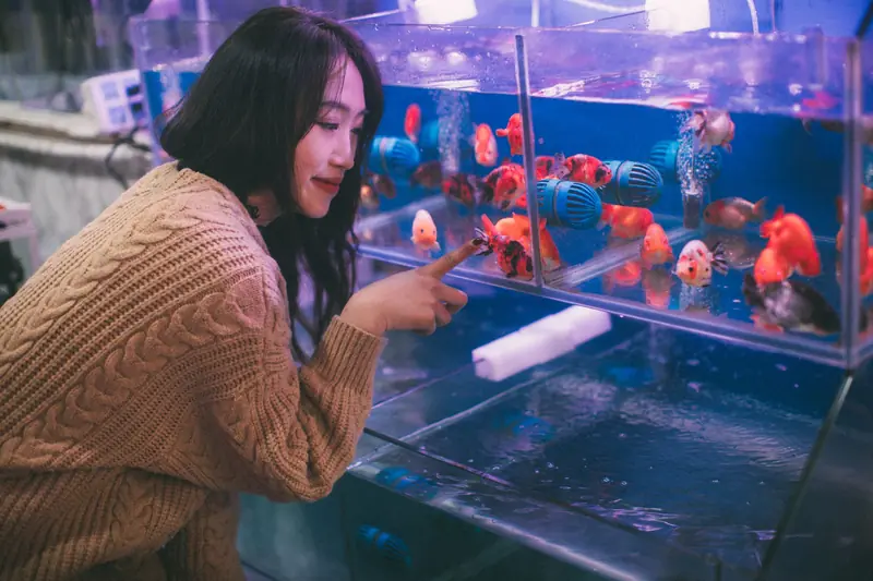 Asian woman engaging with vibrant fish in a pet shop aquarium. Calm and curious moment indoors