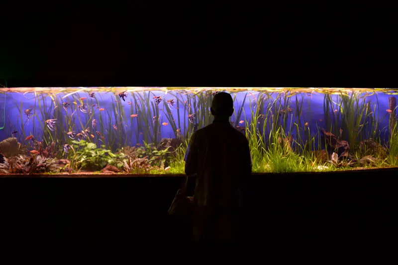 A person silhouetted against a vibrant, large aquarium display with various fish and aquatic plants